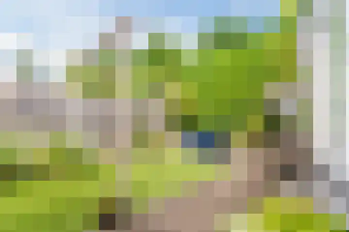Elendil 16 Geldrop thumbnail 22