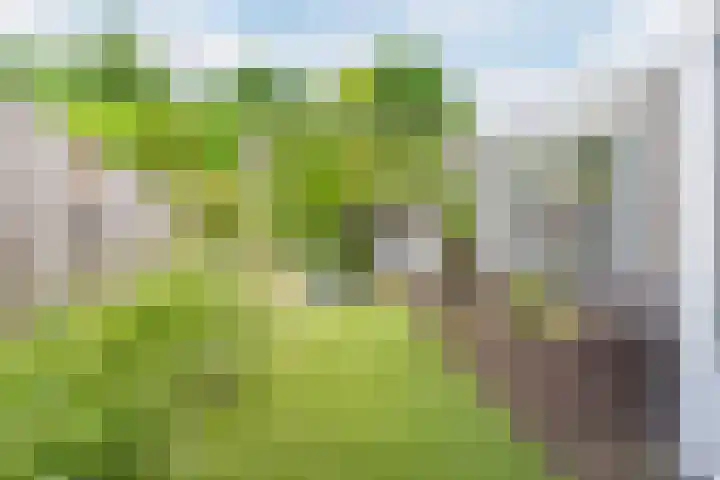 Elendil 16 Geldrop thumbnail 23