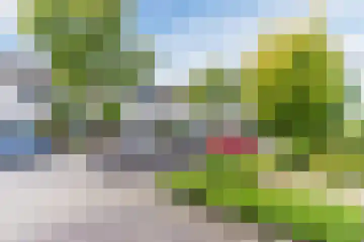 Elendil 16 Geldrop thumbnail 24