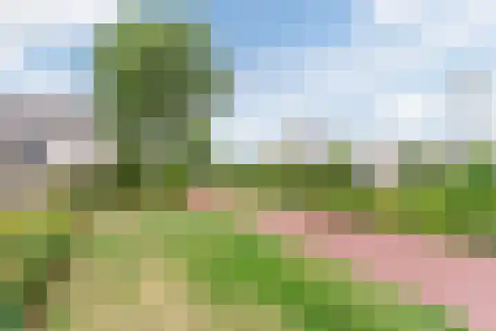 Elendil 16 Geldrop thumbnail 25