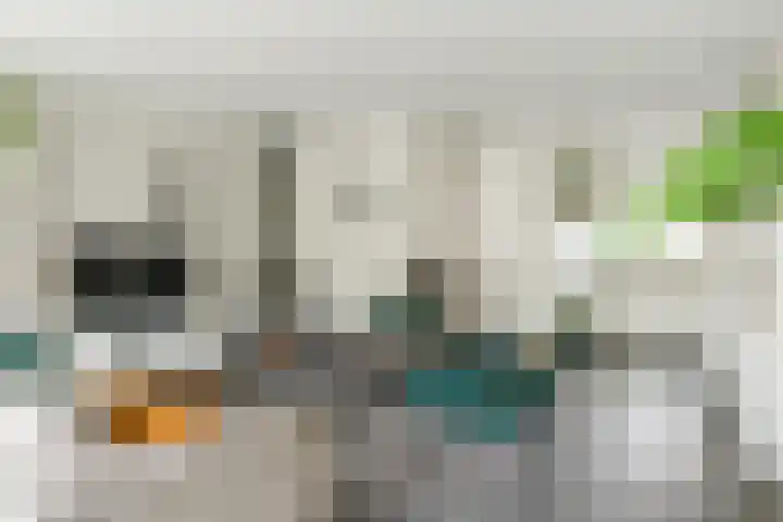 Elendil 17 Geldrop thumbnail 12