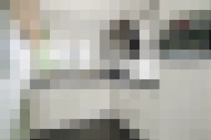 Elendil 17 Geldrop thumbnail 15
