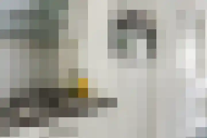 Elendil 17 Geldrop thumbnail 17