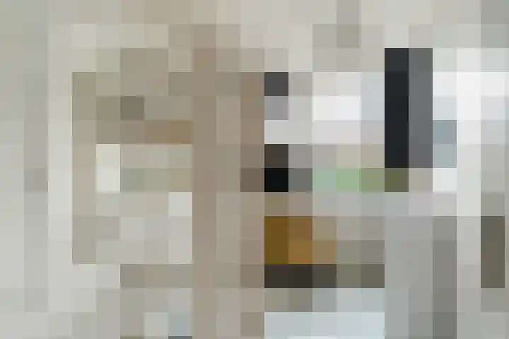Elendil 17 Geldrop thumbnail 24