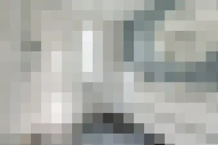 Elendil 17 Geldrop thumbnail 25