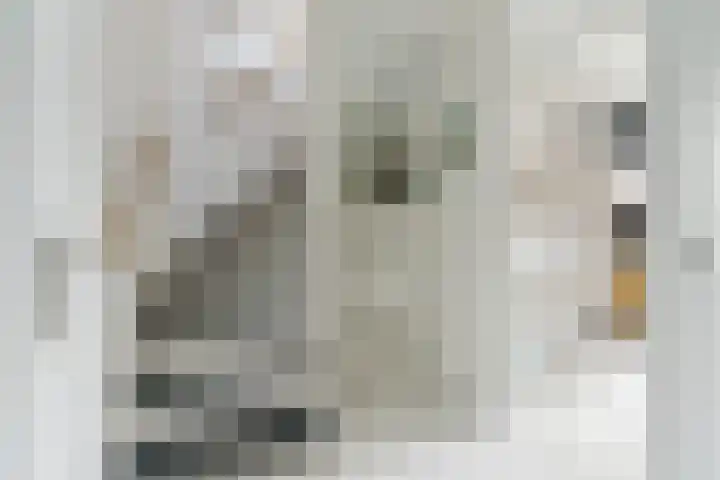 Elendil 17 Geldrop thumbnail 27
