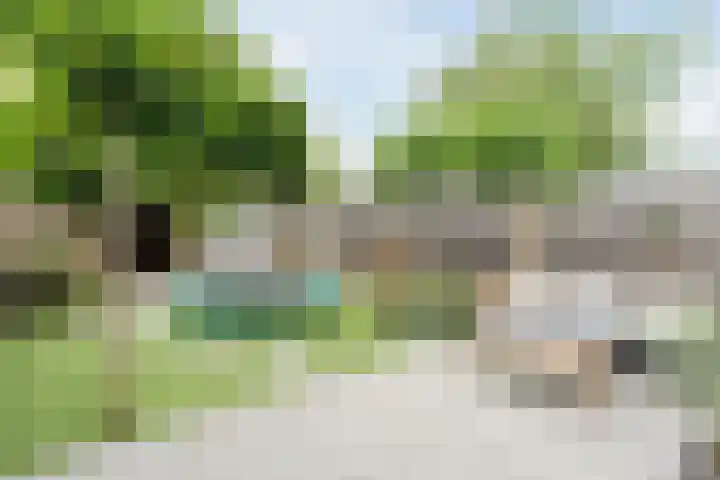 Elendil 17 Geldrop thumbnail 32