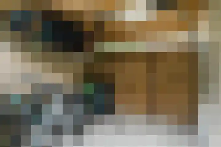 Elendil 17 Geldrop thumbnail 35