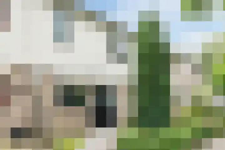 Elendil 17 Geldrop thumbnail 41