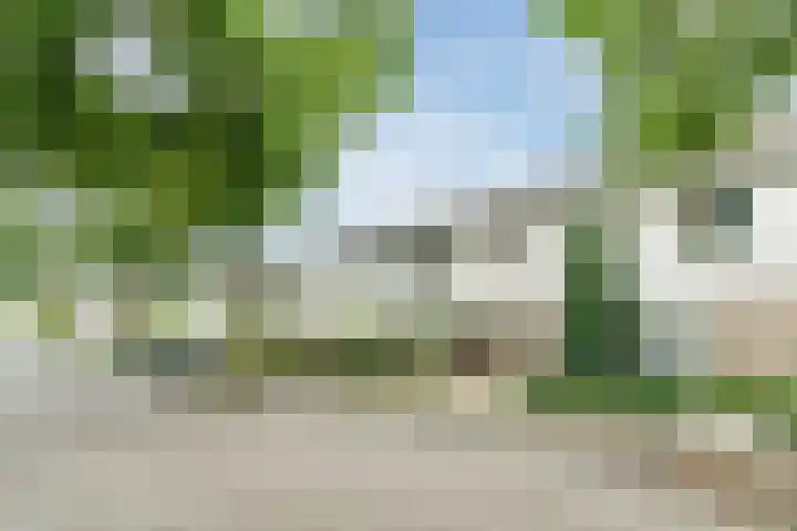 Elendil 17 Geldrop thumbnail 5