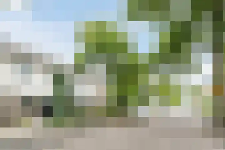 Elendil 17 Geldrop thumbnail 6
