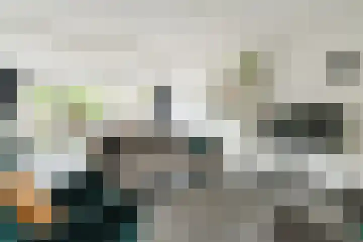Elendil 17 Geldrop thumbnail 7