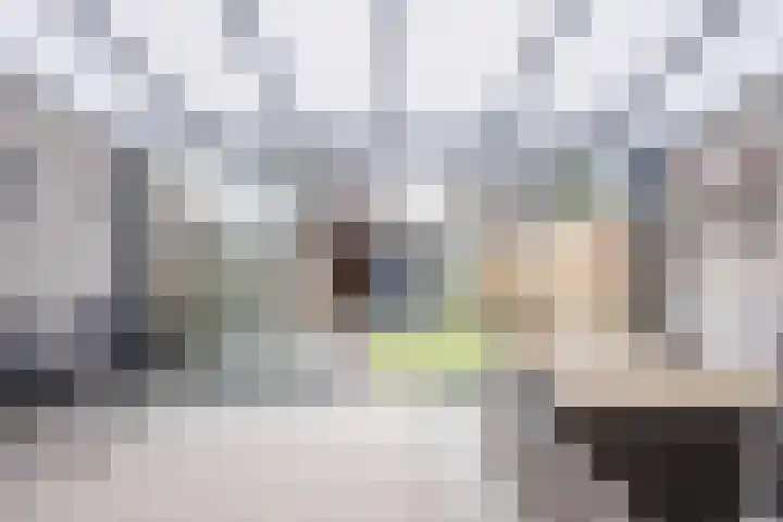 Elendil 77 Geldrop thumbnail 13