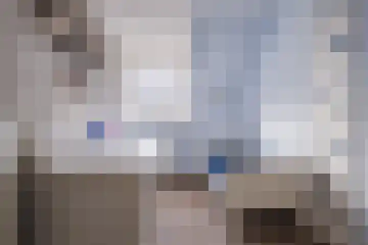 Elendil 77 Geldrop thumbnail 20