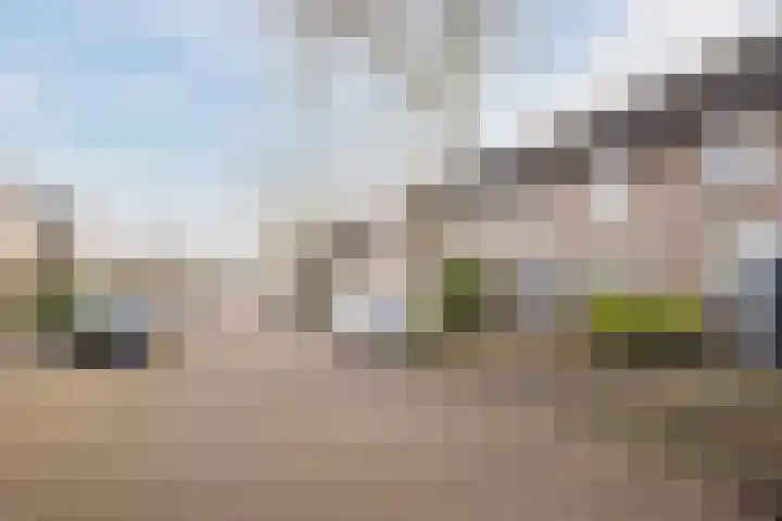 Elendil 77 Geldrop thumbnail 36