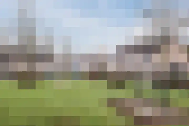 Elendil 77 Geldrop thumbnail 37