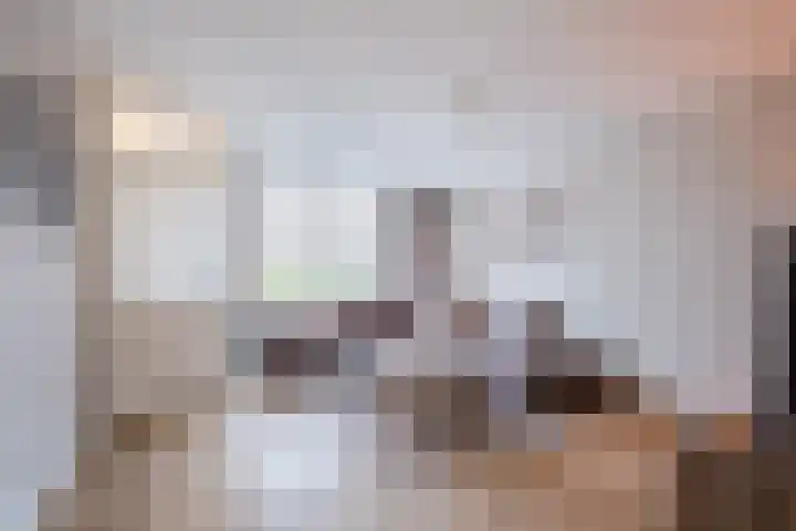 Elendil 77 Geldrop thumbnail 4