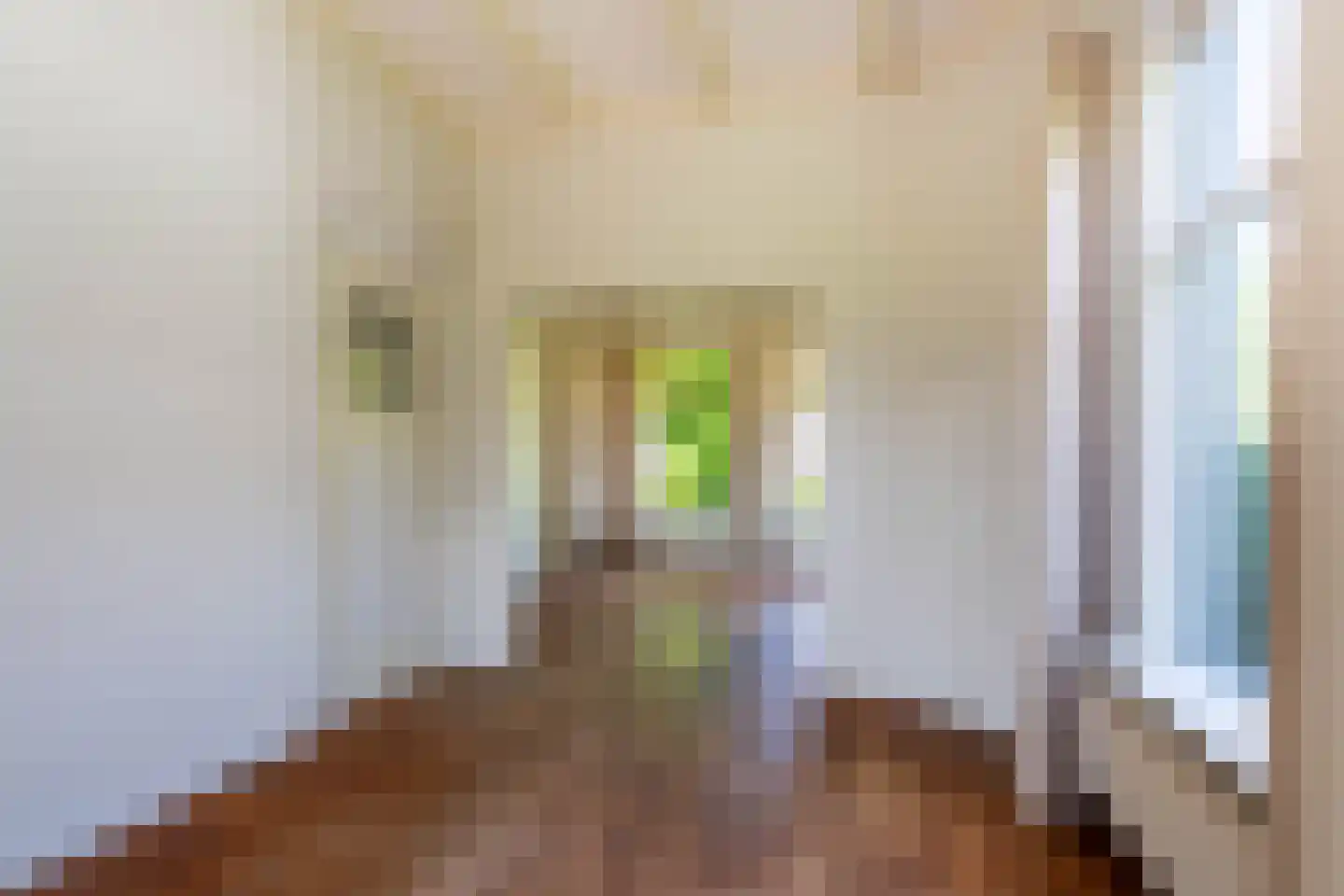 Elensterweg 13 Ulrum thumbnail 19