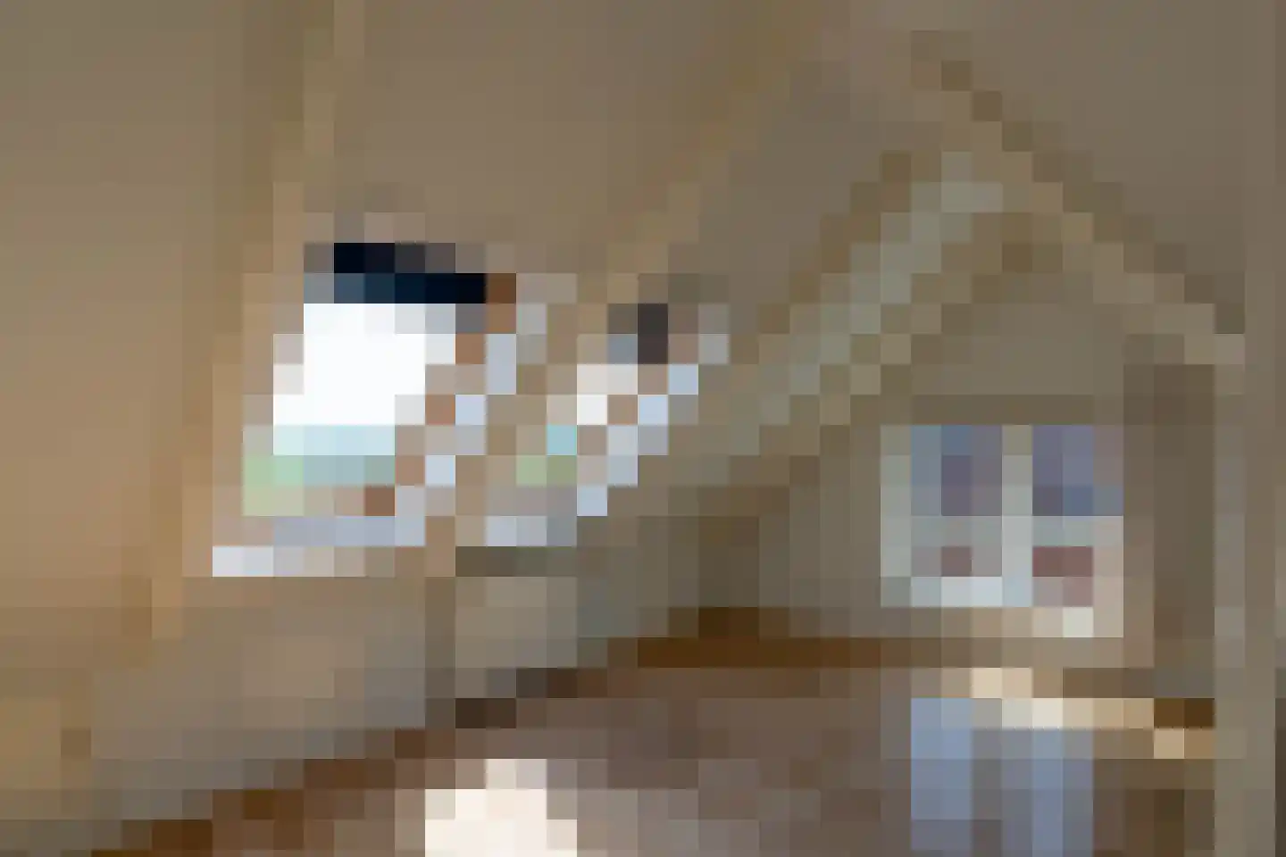 Elensterweg 13 Ulrum thumbnail 24