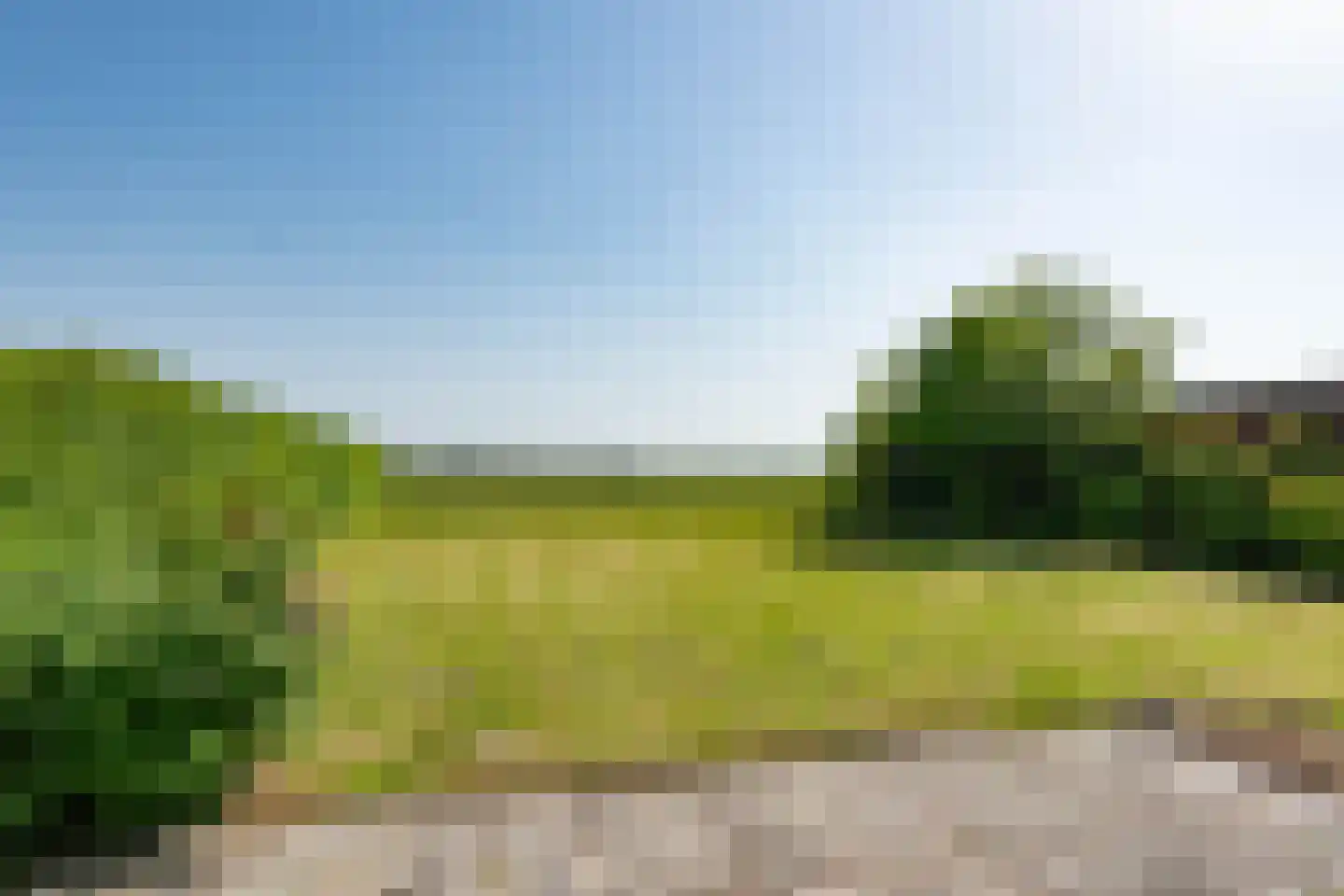 Elensterweg 13 Ulrum thumbnail 40