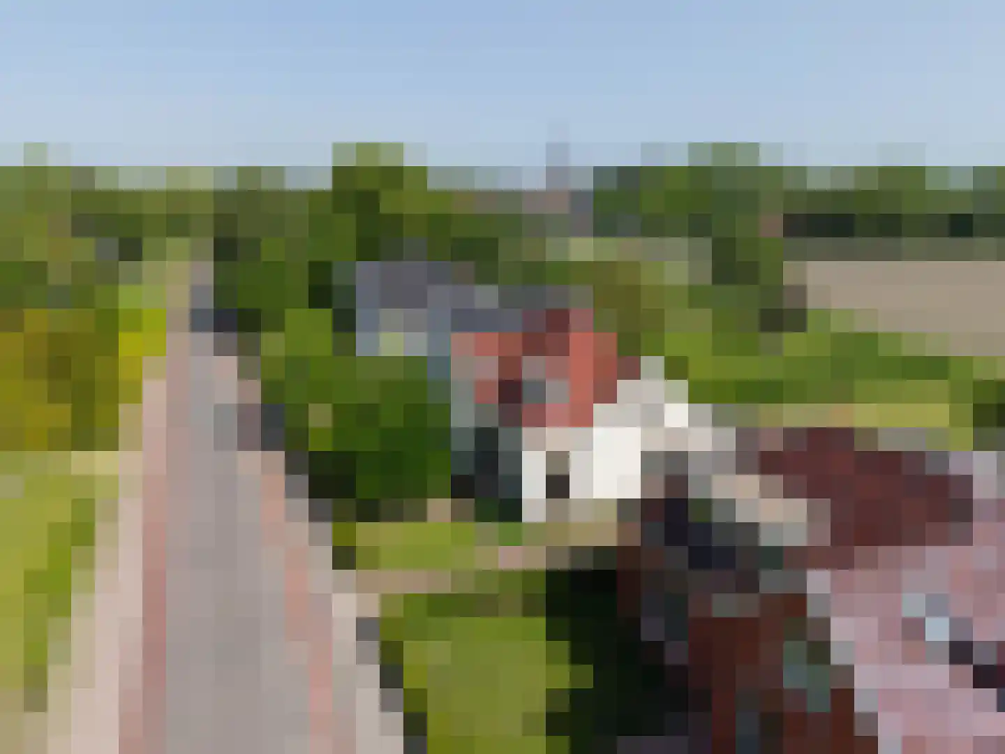 Elensterweg 13 Ulrum thumbnail 45