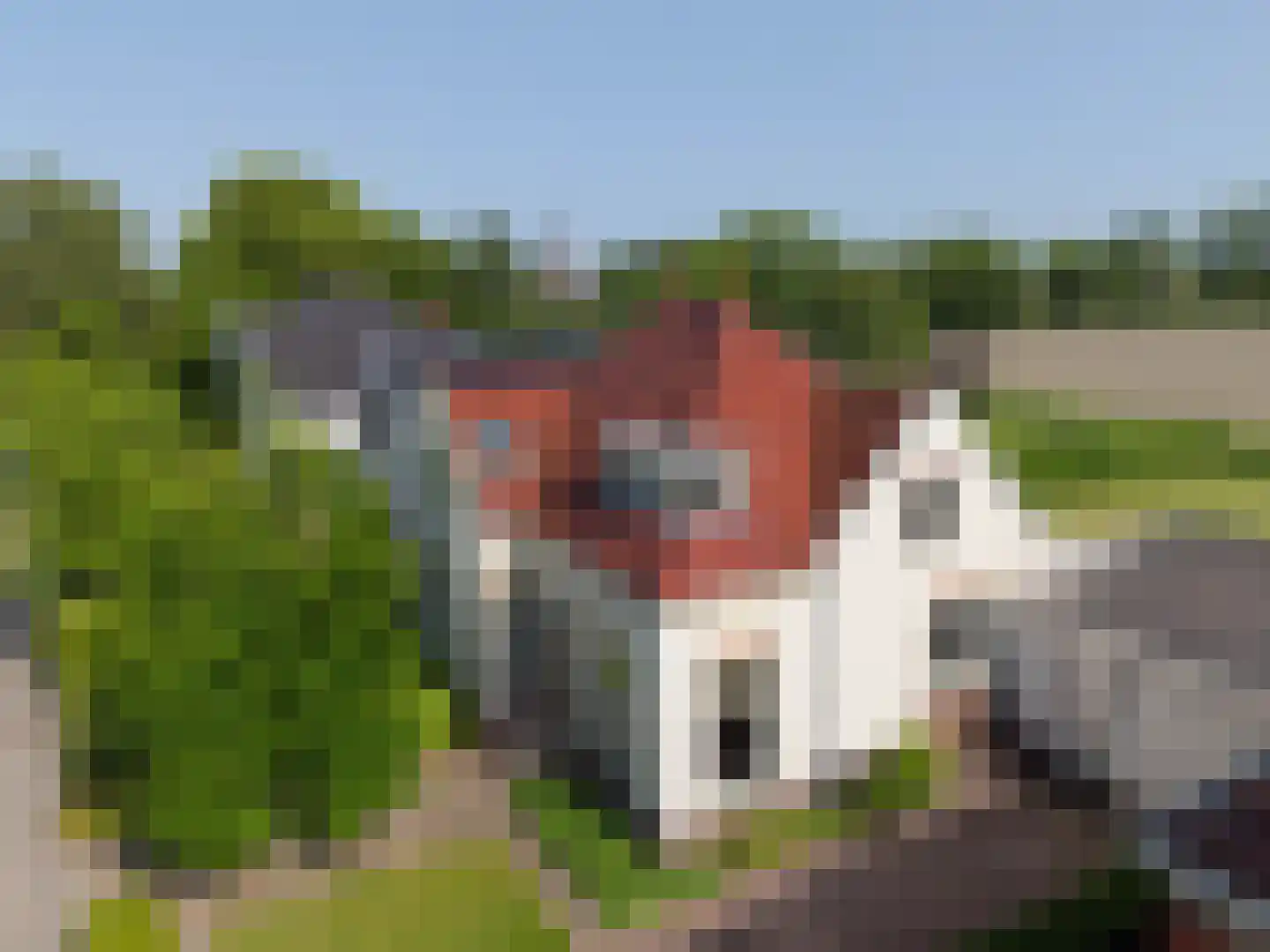 Elensterweg 13 Ulrum thumbnail 49