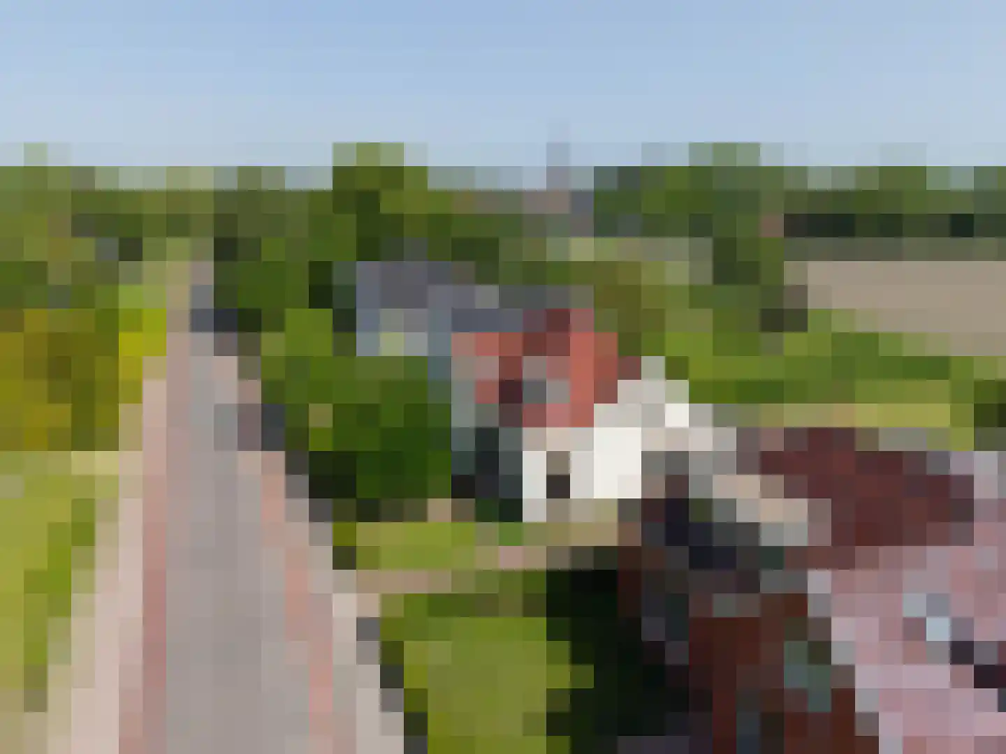 Elensterweg 13 Ulrum thumbnail 5
