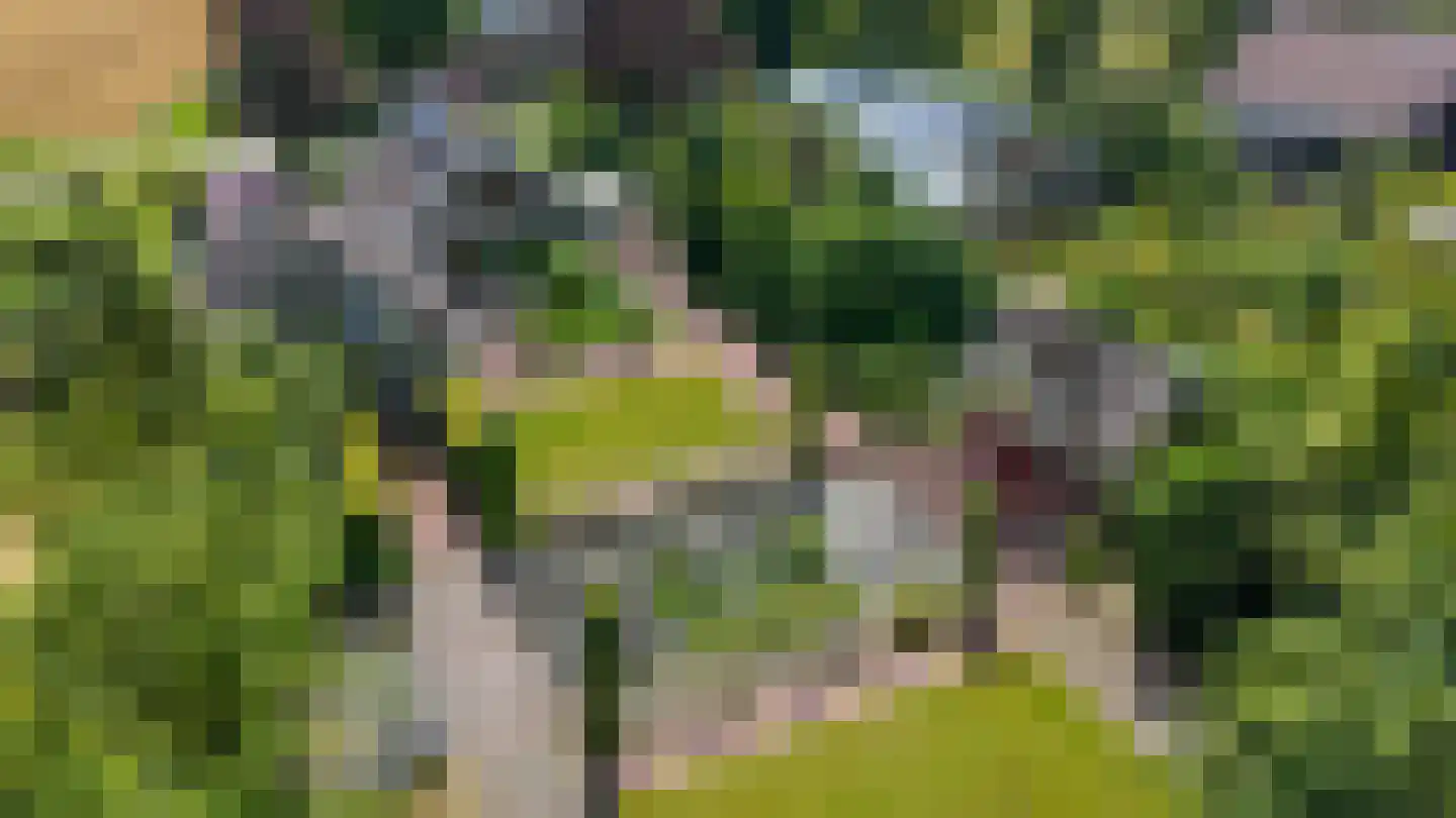 Elensterweg 24 Ulrum thumbnail 11
