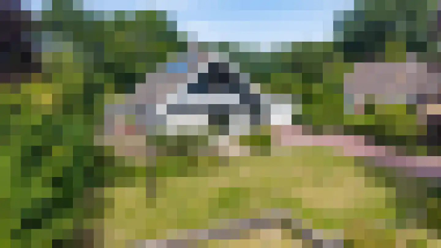 Elensterweg 24 Ulrum thumbnail 4