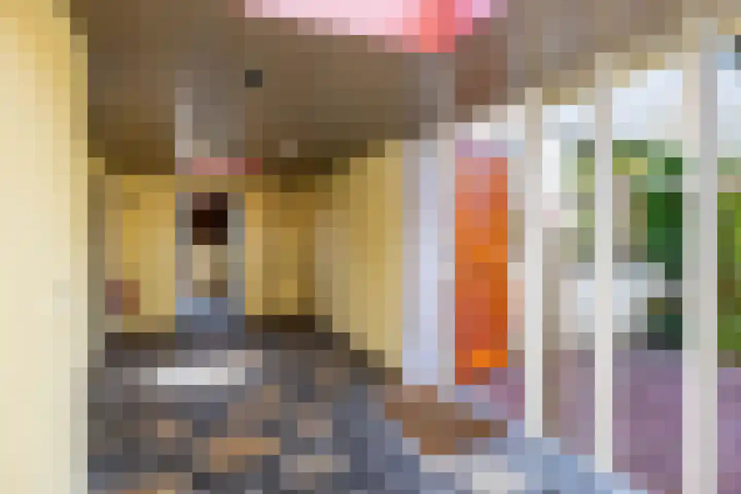 Elensterweg 24 Ulrum thumbnail 47
