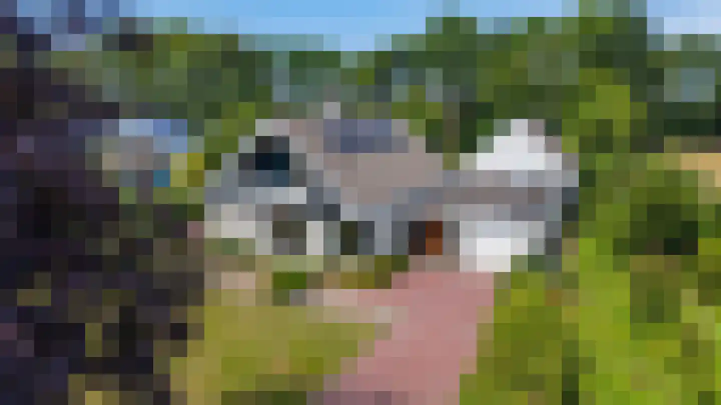 Elensterweg 24 Ulrum thumbnail 5
