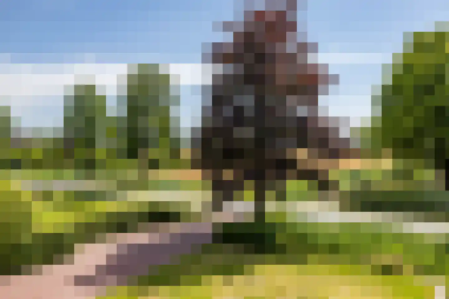 Elensterweg 24 Ulrum thumbnail 57