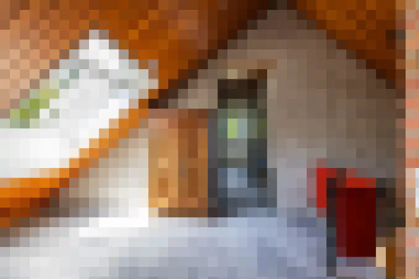 Elensterweg 24 Ulrum thumbnail 58