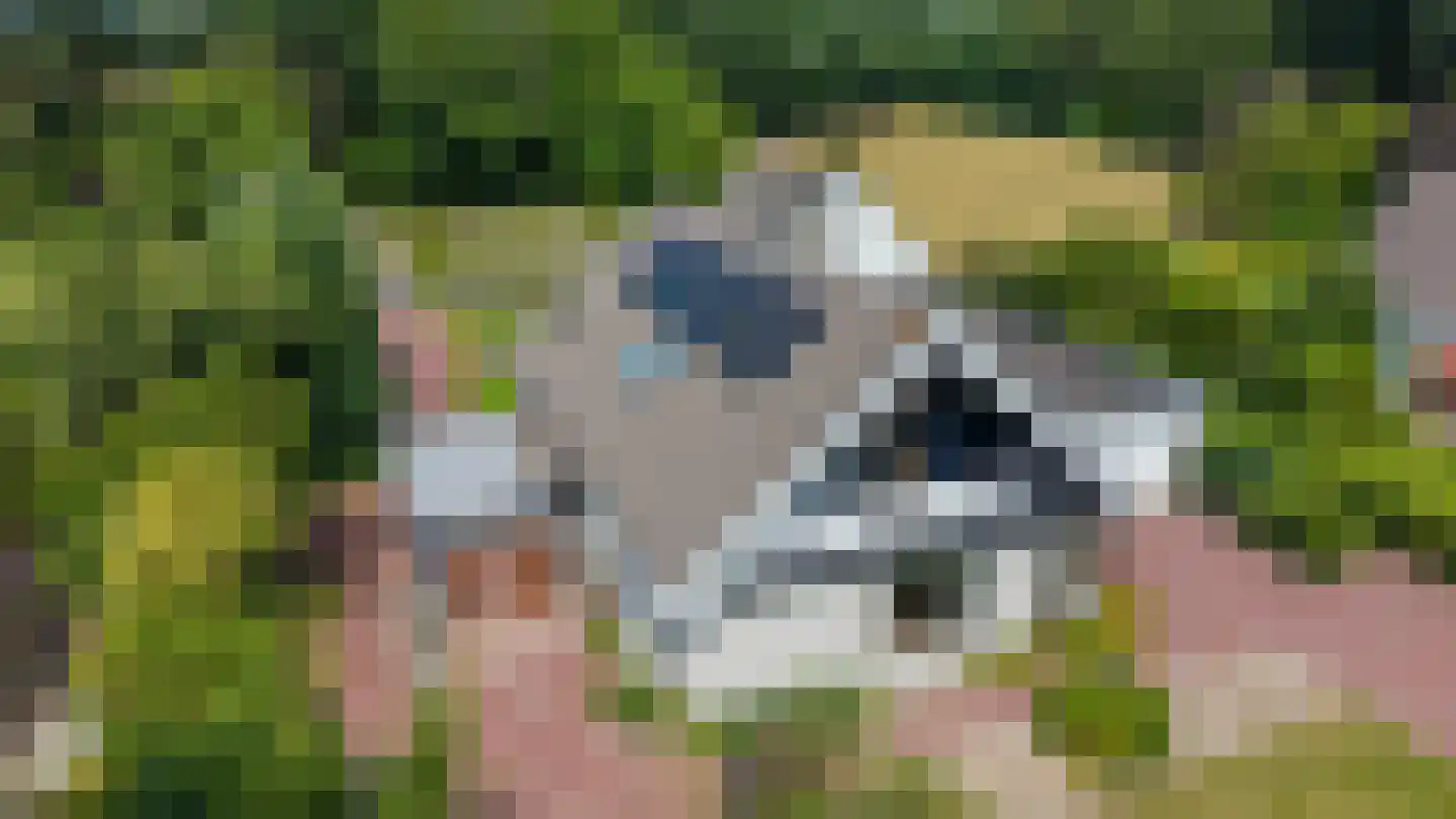 Elensterweg 24 Ulrum thumbnail 6