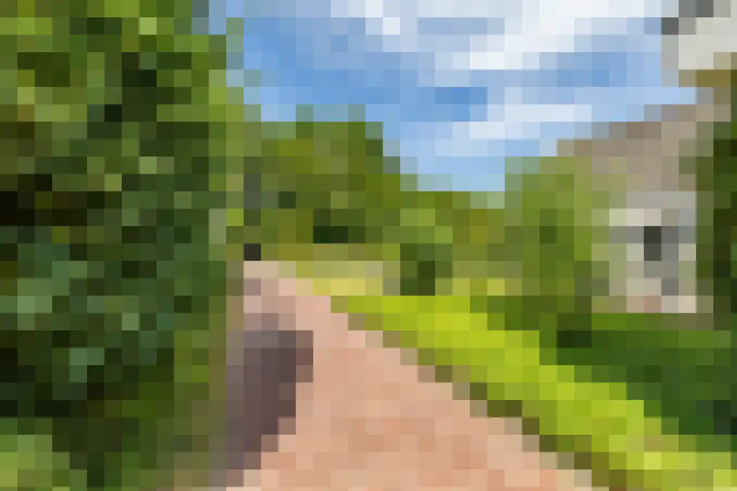 Elensterweg 24 Ulrum thumbnail 65