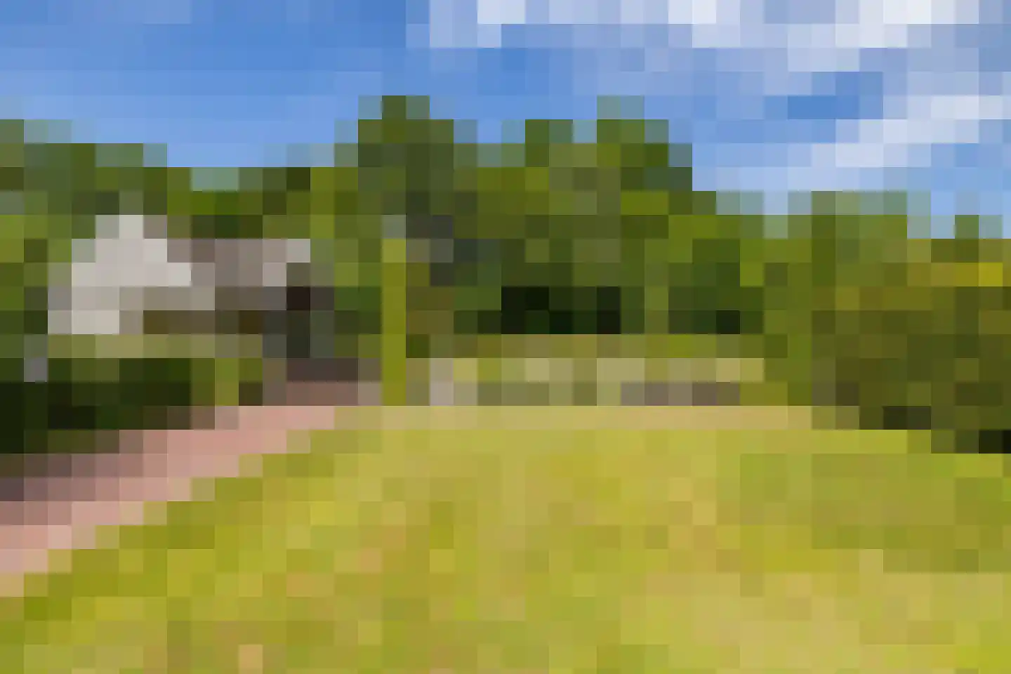 Elensterweg 24 Ulrum thumbnail 66