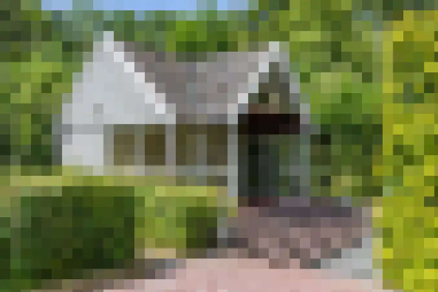 Elensterweg 24 Ulrum thumbnail 67