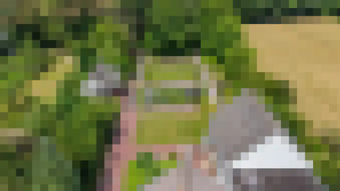 Elensterweg 24 Ulrum thumbnail 7