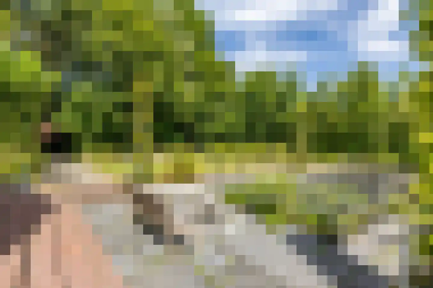 Elensterweg 24 Ulrum thumbnail 71