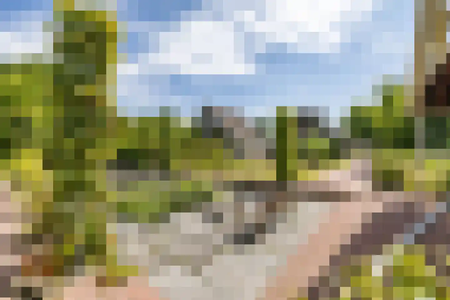 Elensterweg 24 Ulrum thumbnail 72