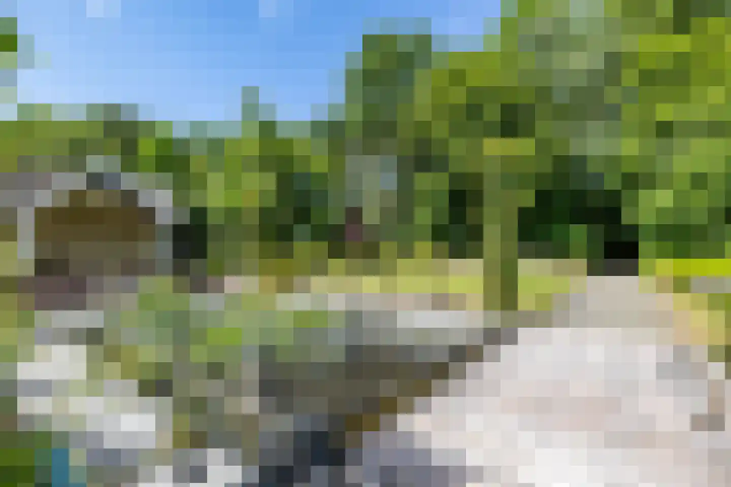 Elensterweg 24 Ulrum thumbnail 73