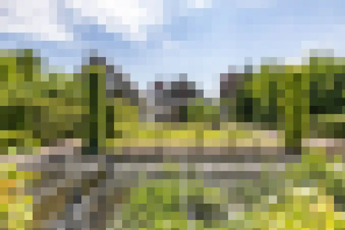 Elensterweg 24 Ulrum thumbnail 74