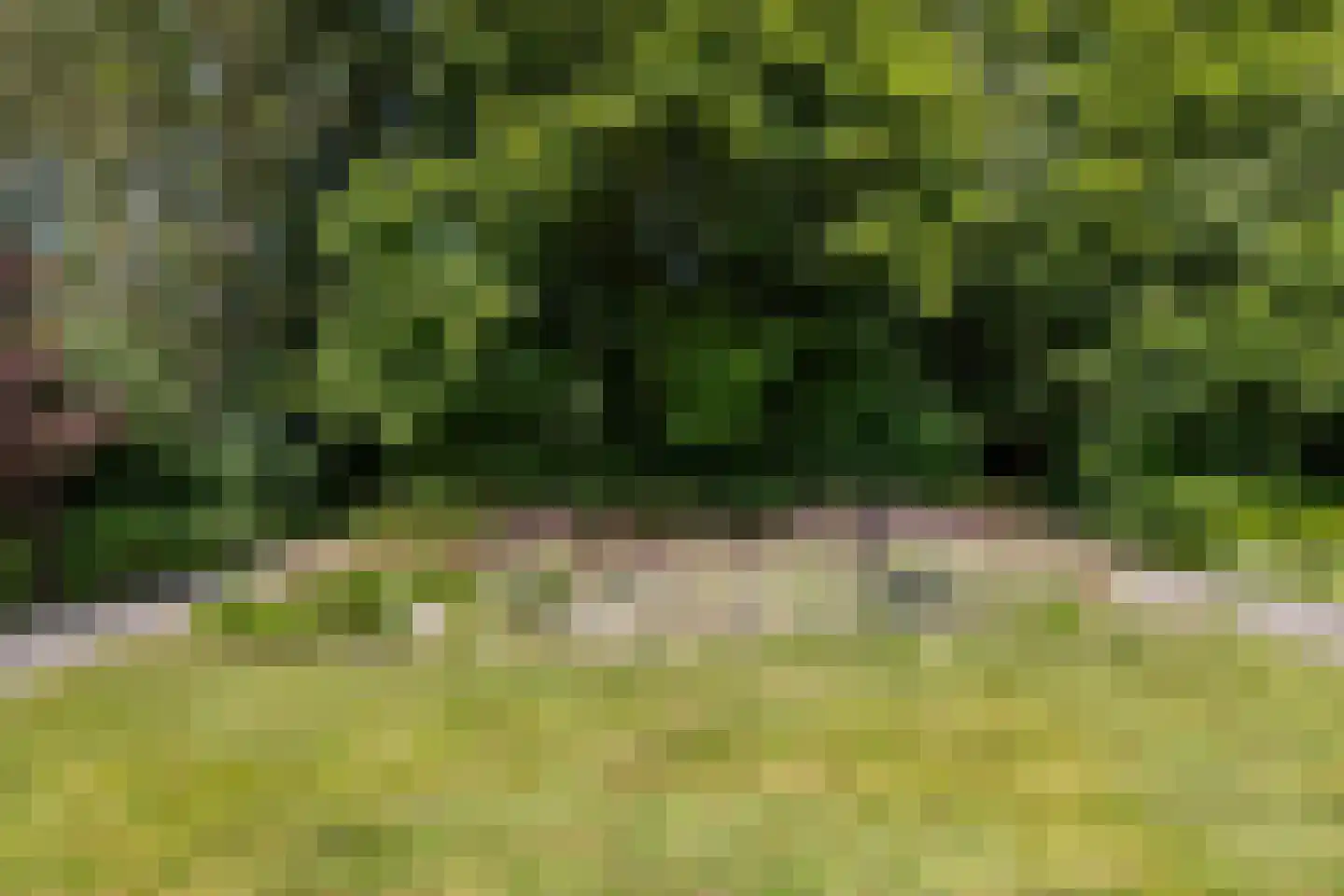 Elensterweg 24 Ulrum thumbnail 75