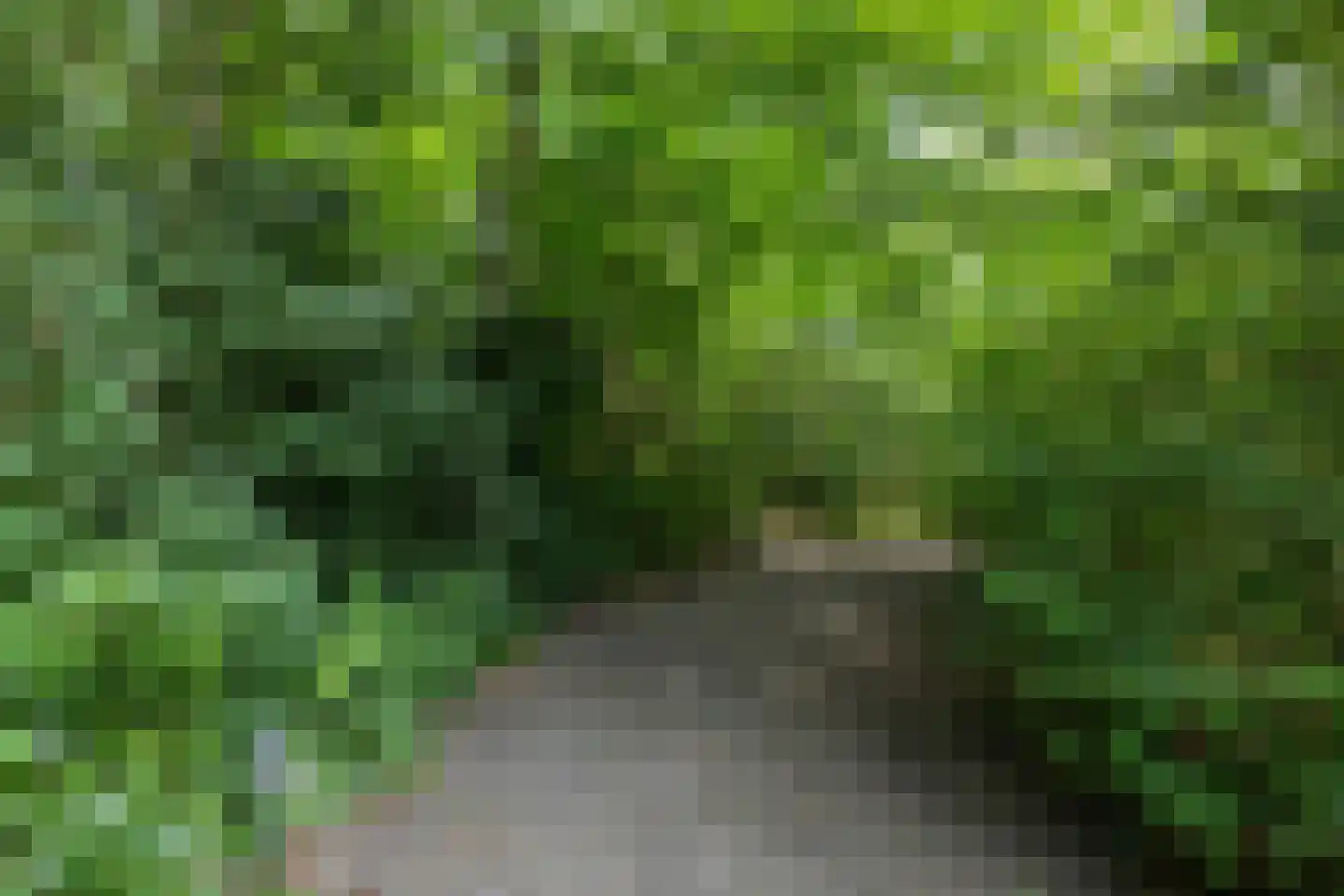 Elensterweg 24 Ulrum thumbnail 76