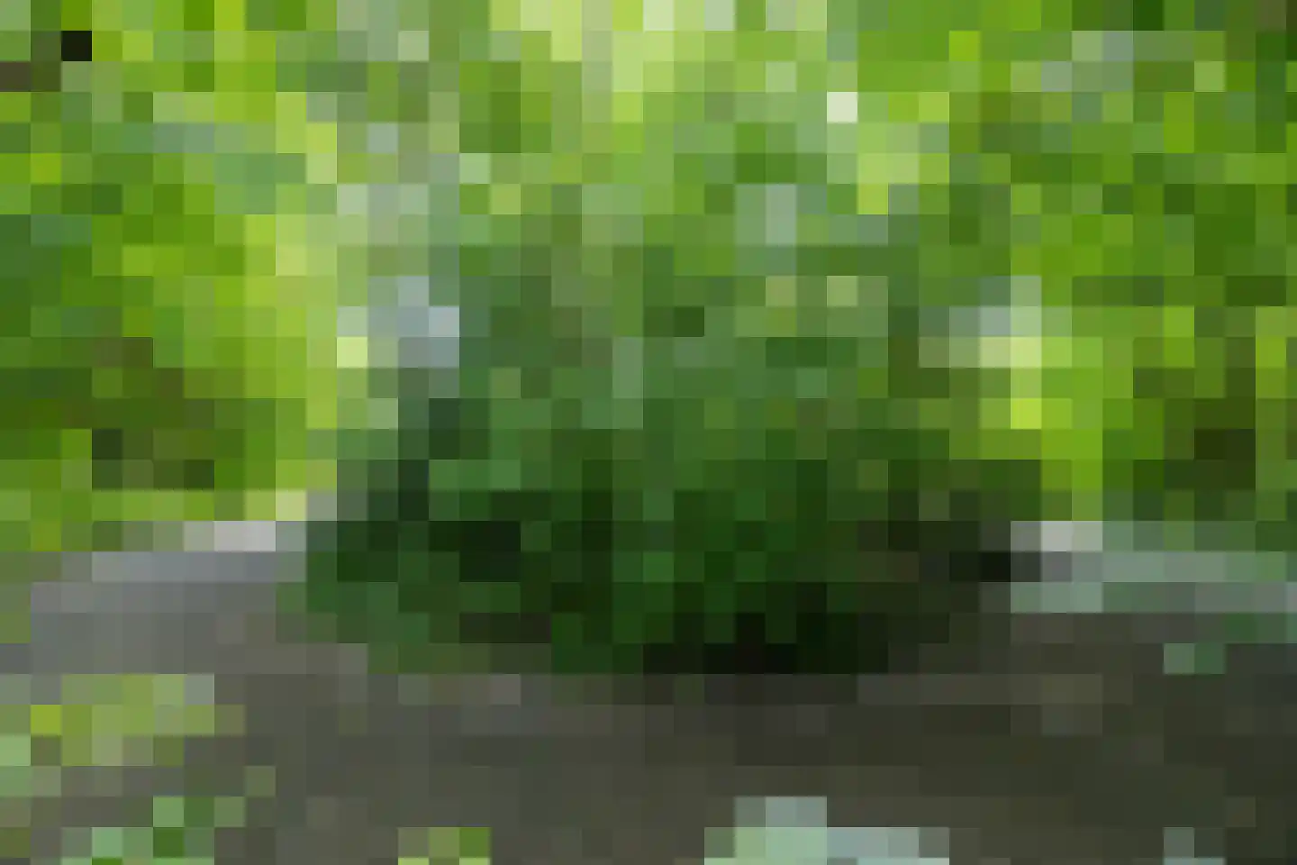 Elensterweg 24 Ulrum thumbnail 77
