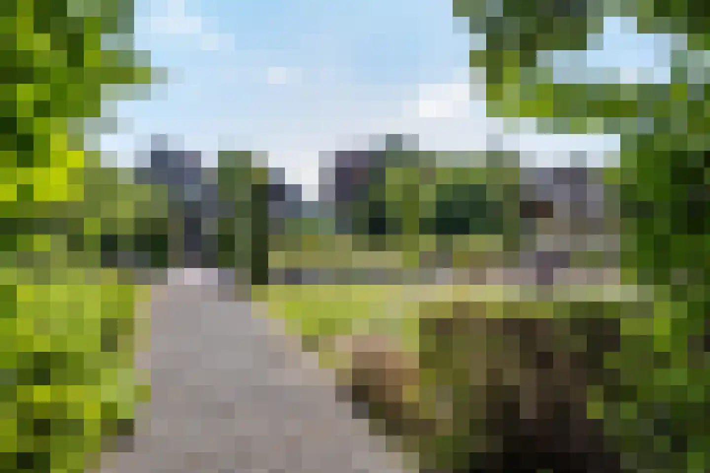 Elensterweg 24 Ulrum thumbnail 78