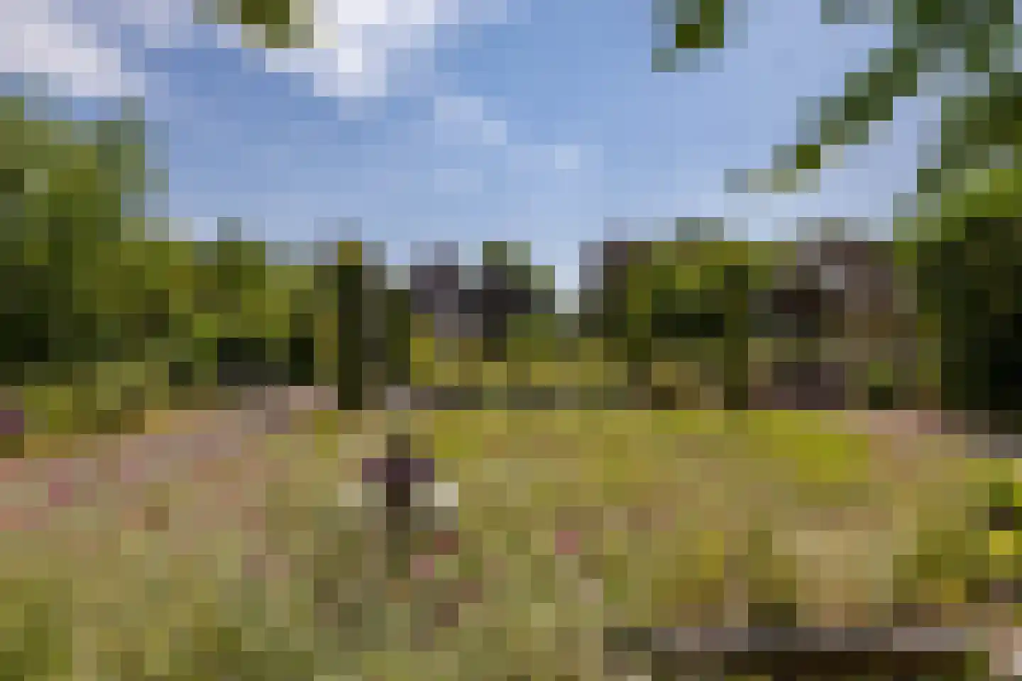 Elensterweg 24 Ulrum thumbnail 79