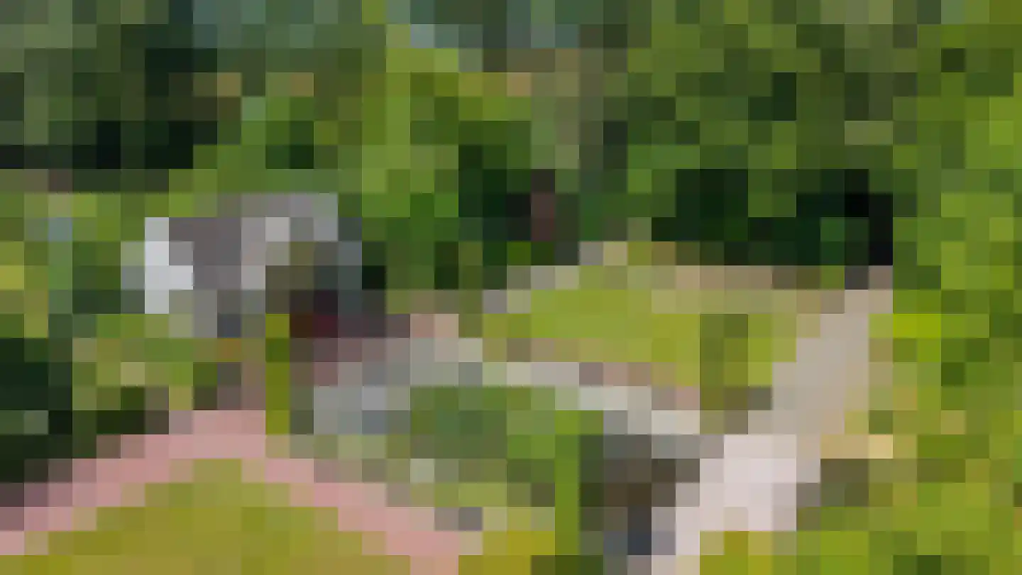Elensterweg 24 Ulrum thumbnail 8