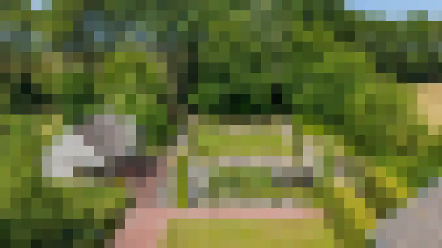 Elensterweg 24 Ulrum thumbnail 9