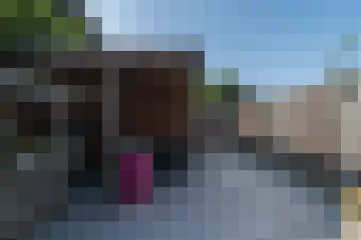 Eleolietdijk 50 Roosendaal thumbnail 35